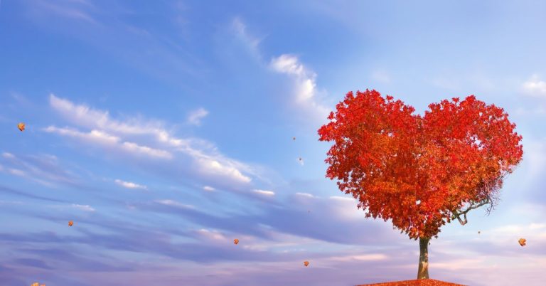 FB Caption Ideas to Make Your Posts More Attractive and Meaningful